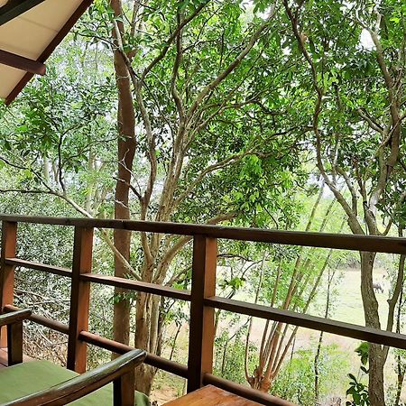 Elephant Lodge Udawalawe Bagian luar foto