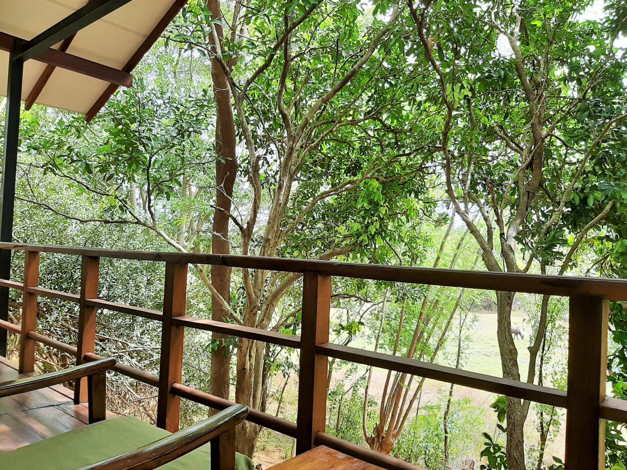 Elephant Lodge Udawalawe Bagian luar foto