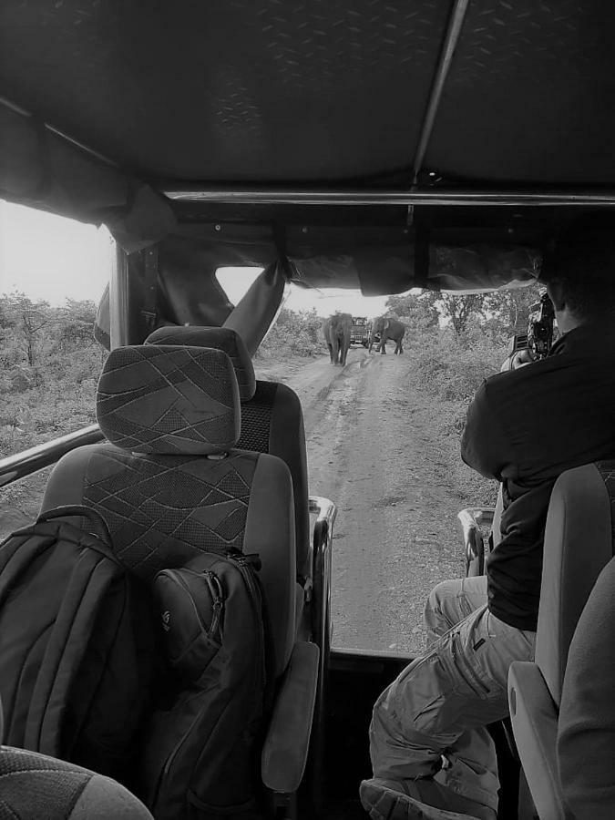 Elephant Lodge Udawalawe Bagian luar foto