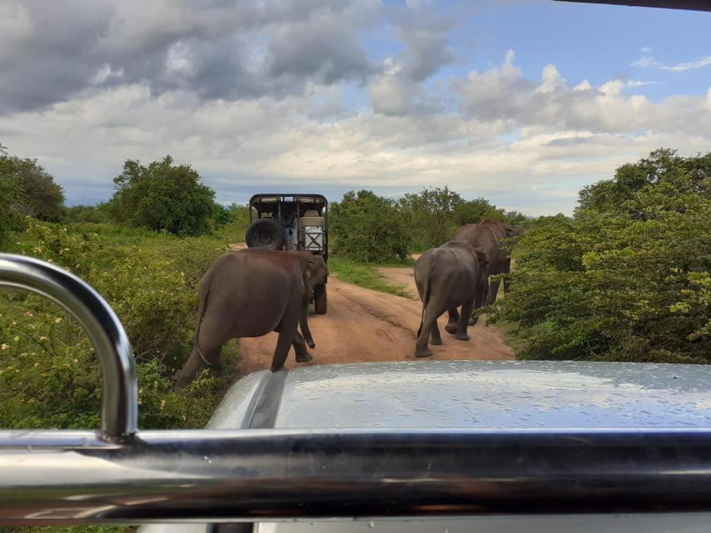 Elephant Lodge Udawalawe Bagian luar foto